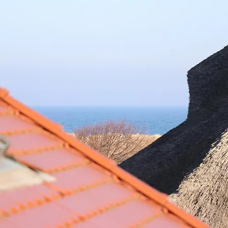 Birkenhof App 23 * Wustrow (Fischland)